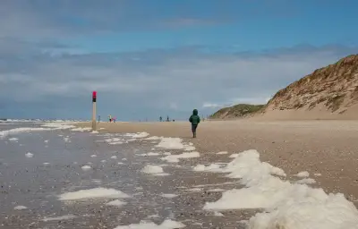 L'écume de mer naturelle peut être dangereuse