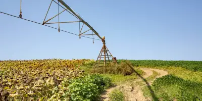 Loi d'urgence agricole : l'Anses obtient le dernier mot