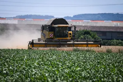 Loi d'urgence agricole : le piège du modèle productiviste