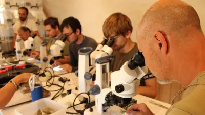 Lozère : secrets d'un monde disparu révélés par les sédiments