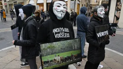 Marche contre le spécisme à Montpellier le 29 août