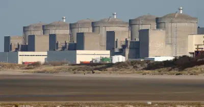 Méduses et canicule : nouvel arrêt de réacteurs EDF à Gravelines