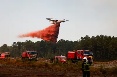 Mégafeu en Gironde : le gouvernement veut débroussailler et durcir l'urbanisme