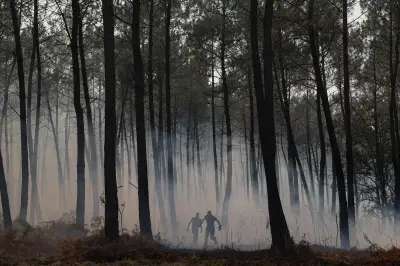 Mégafeu en Gironde : toujours contenu mais pas fixé
