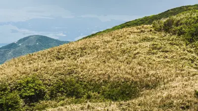 Mont Fuji : un père abandonne son fils de 7 ans et est averti par la police