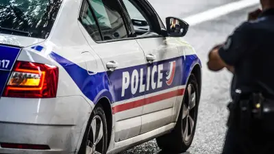 Montpellier : deux hommes arrêtés avec un conteneur d'arbres volés