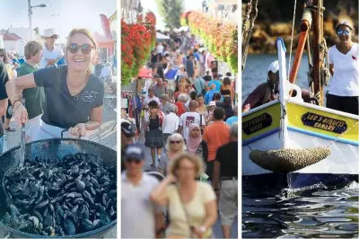 Moules, Tour Royale, Enfoirés : nos idées de sorties autour de Toulon