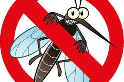 Moustique tigre : vrai ou faux sur le sang sucré et les maladies