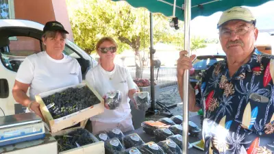 Muscat du Ventoux : les producteurs affichent leur optimisme