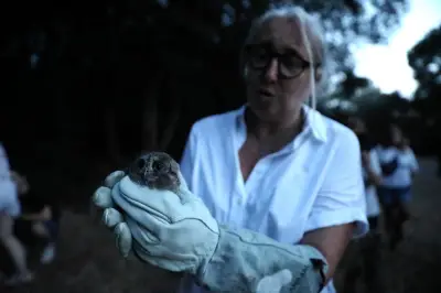 Neuf hiboux petits ducs relâchés dans le parc du Vinaigrier à Nice
