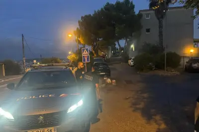 Nice : un octogénaire armé interpellé par le RAID, des armes saisies