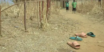 Nigeria : plus de 300 otages libérés par l'armée