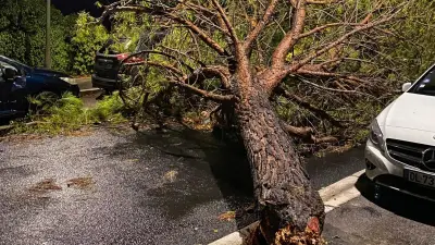 Orage violent à Montpellier : dégâts nombreux et arbres déracinés