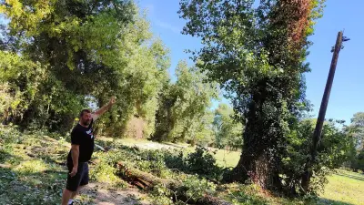 Orages dans le Gard : trentaine d'arbres déracinés à la manade du Gardon