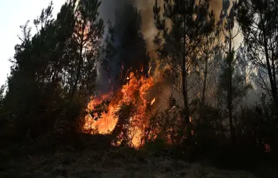 Ouvrier agricole condamné à trois ans pour onze incendies
