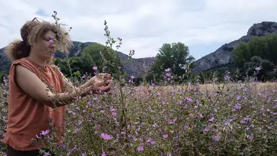 Paysanne herboriste des Cévennes : appel aux dons pour éviter l'expulsion