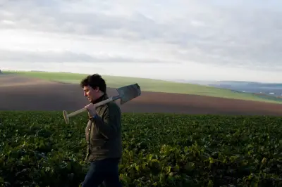 Pesticides : le Conseil constitutionnel valide la loi d'urgence agricole