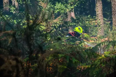 Pyromane condamné à Niort pour onze incendies en quinze jours