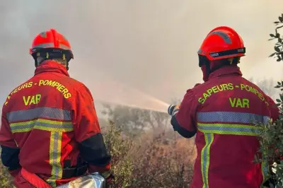Pyrowatch : l'app gratuite pour signaler un départ de feu