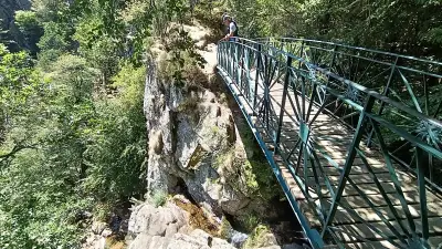 Randonnée en Cévennes : à la découverte des cascades d'Orgon