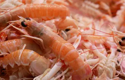 Rappel de langoustines Intermarché pour excès de sulfites