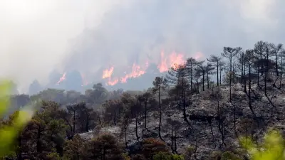 Risque incendie : 36 départements placés en alerte orange ce lundi