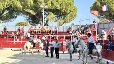 Saint-Chaptes : 50 ans de fidélité célébrés pour la manade Fabre-Mailhan