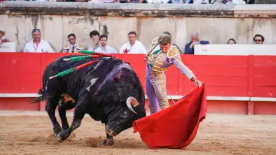 Saint-Gilles : deux cartels attractifs pour les 30 ans de la feria