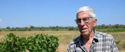 Salinité : dix hectares de vignes arrachés à Vic-la-Gardiole