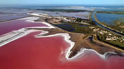 Salins d’Aigues-Mortes : la récolte de l’or blanc vue du ciel