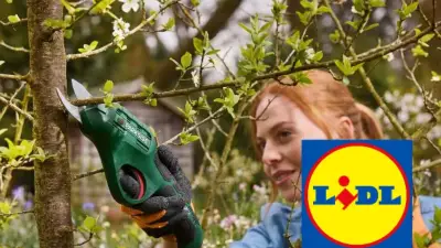 Sécateur électrique Parkside à 17,99 € chez Lidl