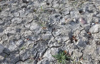Sécheresse : 63% des nappes phréatiques sous les normales en août