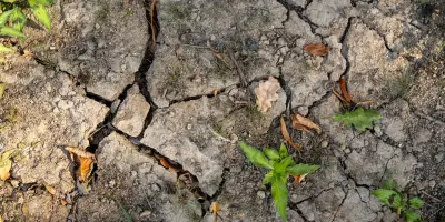 Sécheresse : 70% de la France sous restrictions d'eau