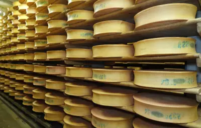Sécheresse : assouplissement temporaire des règles AOP pour l'abondance, le beaufort et le comté