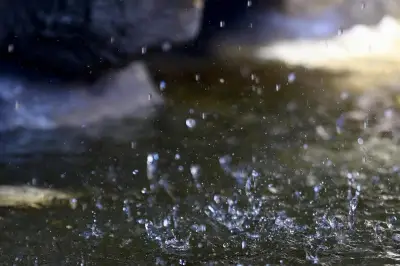 Sécheresse dans le Var : la vigilance est un appel à la sobriété, selon la directrice de la Maison régionale de l'eau