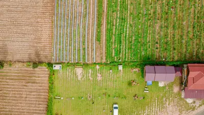 Sécheresse : des maraîchers de la Loire contrôlés par satellite et IA