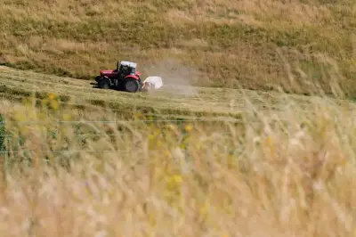 Sécheresse historique : les agriculteurs français témoignent