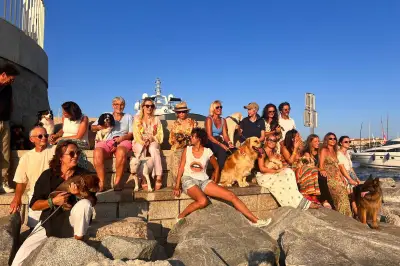 Shooting photo canin à Saint-Tropez pour le livre « Les chiens de Saint-Tropez »
