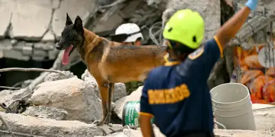 Séisme en Colombie : 265 morts, recherche de survivants décisive