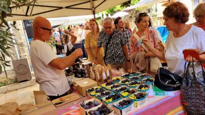 Sorties du 22 août : Figoulade, Fête de la laine et mine à Alès