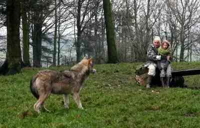 Survivre avec les loups : la supercherie de Misha Defonseca