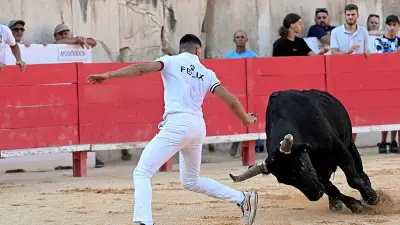 Taureau Santorin meurt en piste à Nîmes, vive émotion