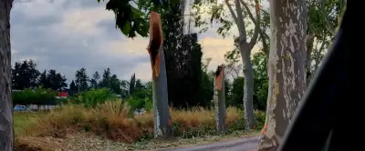 Tempête du 24 août : la faune et la flore, victimes silencieuses