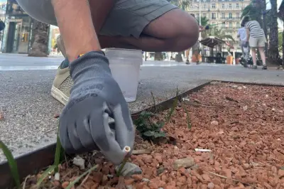 Toulon : 10.000 mégots ramassés en 1 heure place de la Liberté