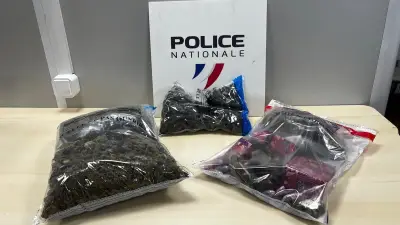 Trafic de drogue démantelé à Montpellier : trois interpellations