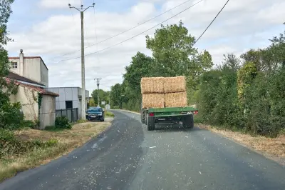 Trafic de fourrage entre France et Suisse : une inquiétante dérive