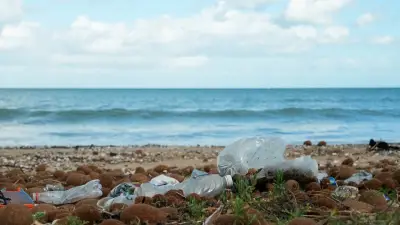 Traité plastique : une esquisse jugée trop timide