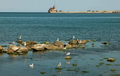 Turquie propose un moratoire en mer Noire face aux attaques