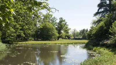 Une grenade au phosphore de 1940 s'enflamme dans un étang asséché