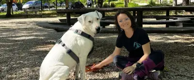 Vacances avec son chien : les conseils d'éducatrices canines du Gard